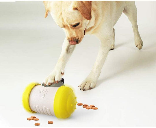 Funny Dog Treat Leaking Toy