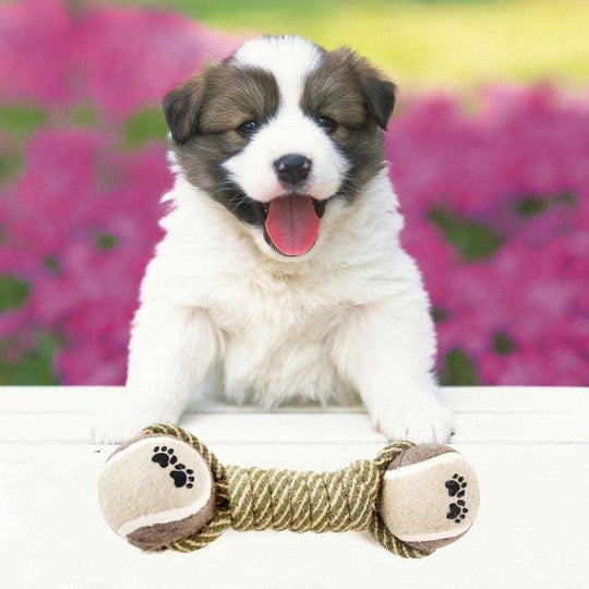 Pet Dog Toys