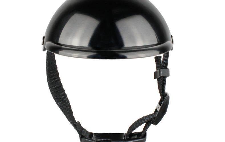 Pet Helmet